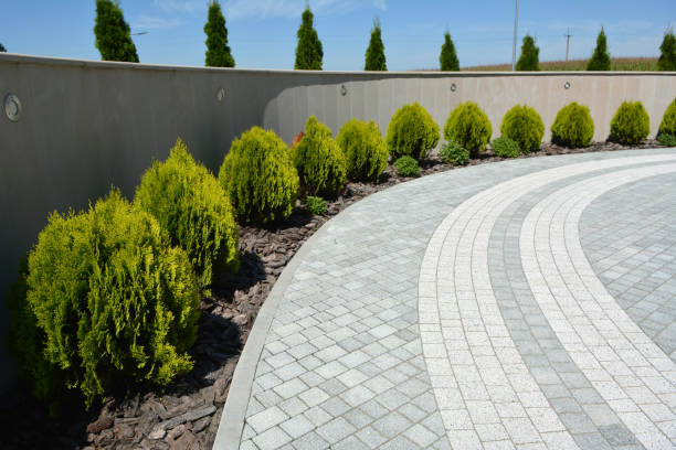 Best Decorative Driveway Pavers  in Farmington, NM